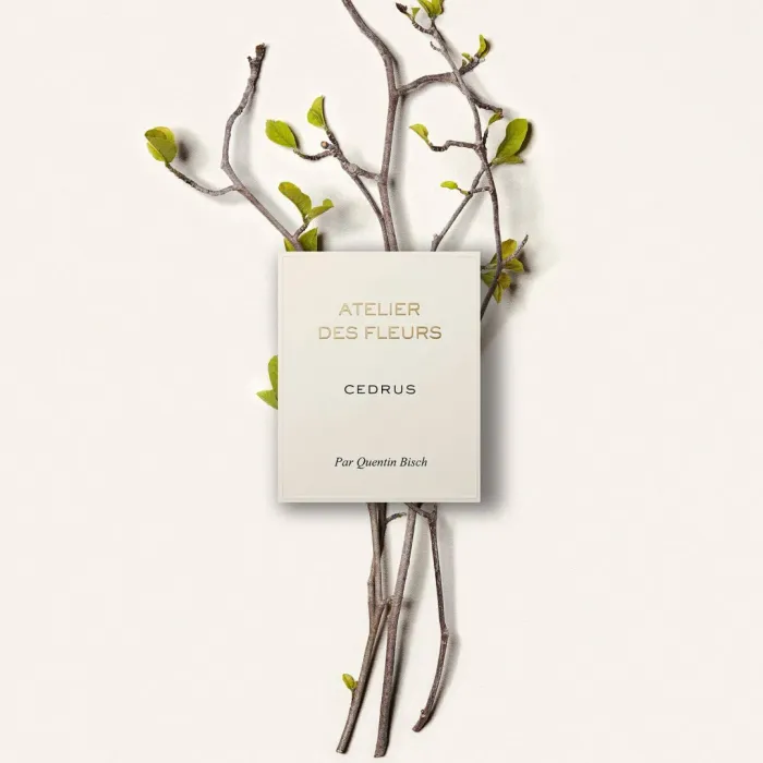 Cedrus