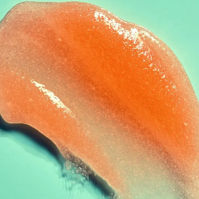 Bikini Reef Sugar Scrub