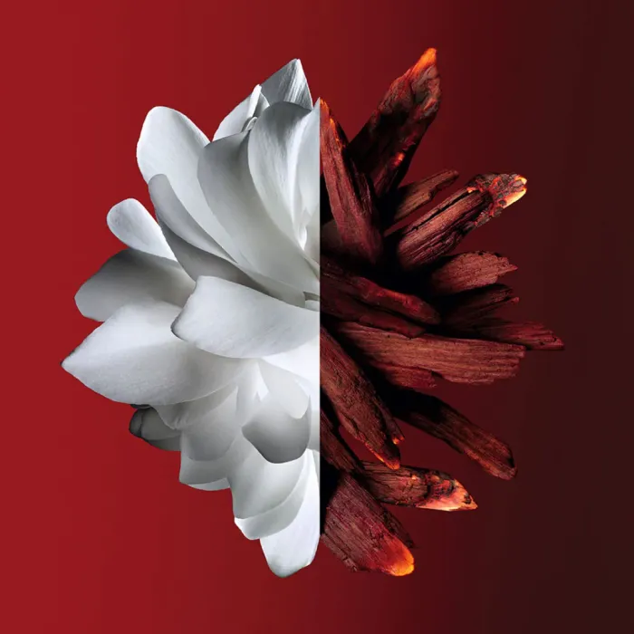 L’Interdit Rouge