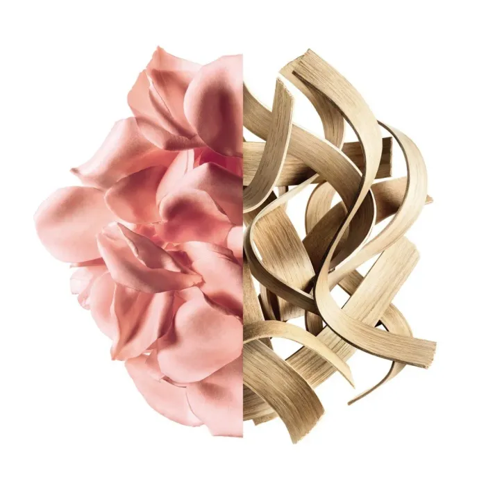 Irresistible Rose Velvet
