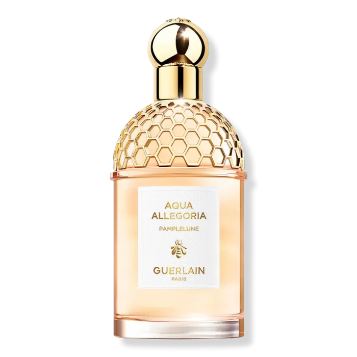 Aqua Allegoria Pamplelune