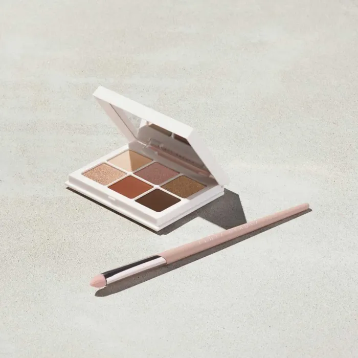 Precise Definition Eyeshadow Brush 220