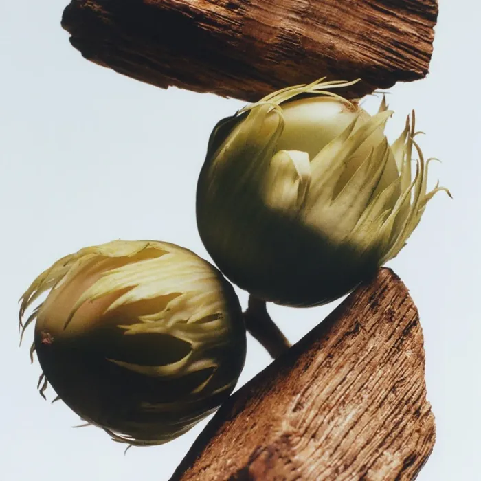 English Oak & Hazelnut