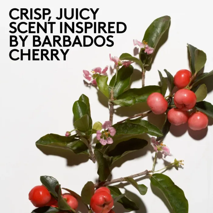 Cherry Dub Triple Action AHA Body Scrub