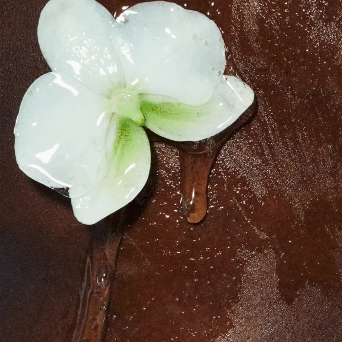 Vanilla Body Wash