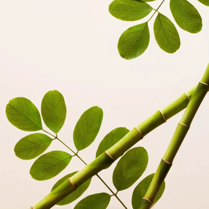 The Ritual of Namaste Skin Brightening Face Exfoliator