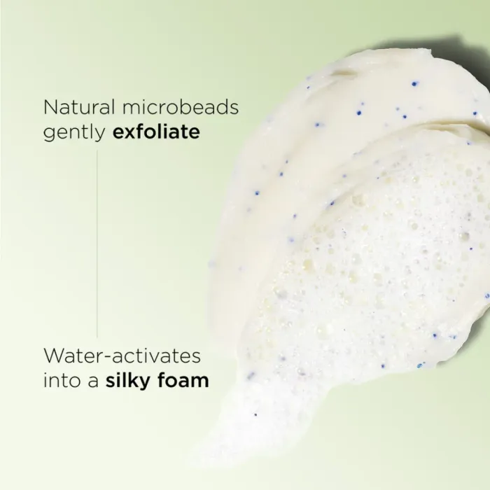 Purifying Gentle Foaming Face Cleanser