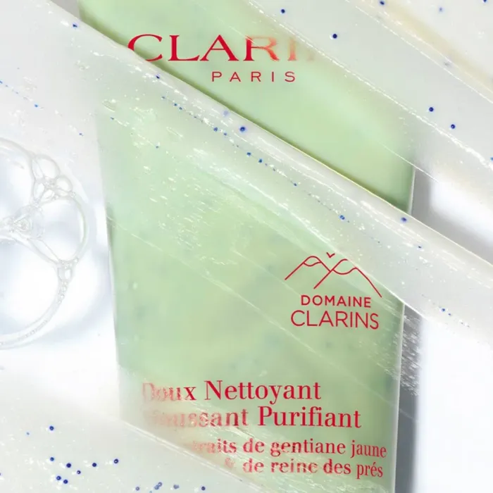 Purifying Gentle Foaming Face Cleanser