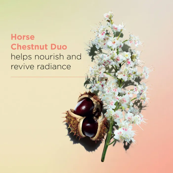 Nutri-Lumière Day Cream
