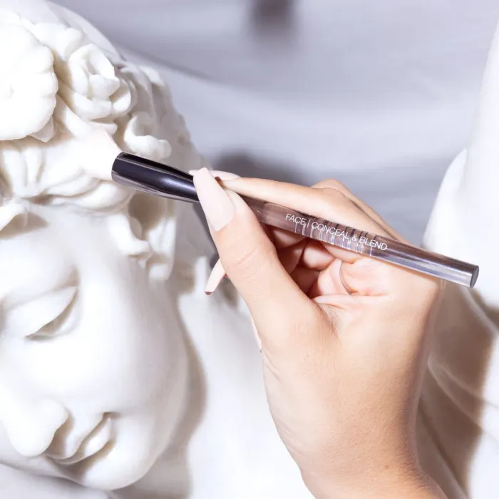 Conceal & Blend Complexion Brush