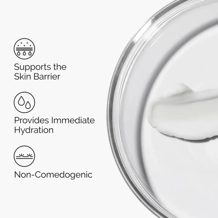 Natural Moisturizing Factors + HA