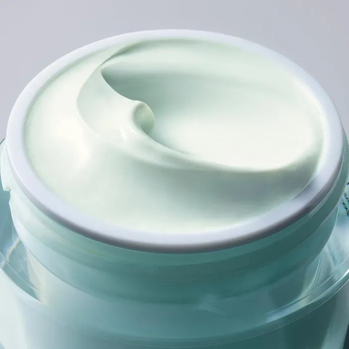 DayWear Moisturizer Multi-Protection Anti-Oxidant 24H‑Moisture Creme SPF 15