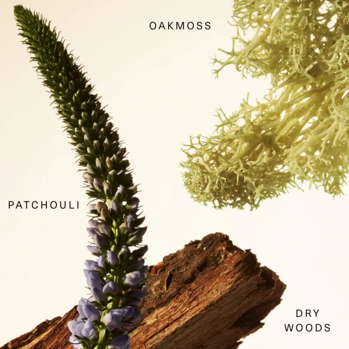 Woody Oak Fragrance Layering Balm