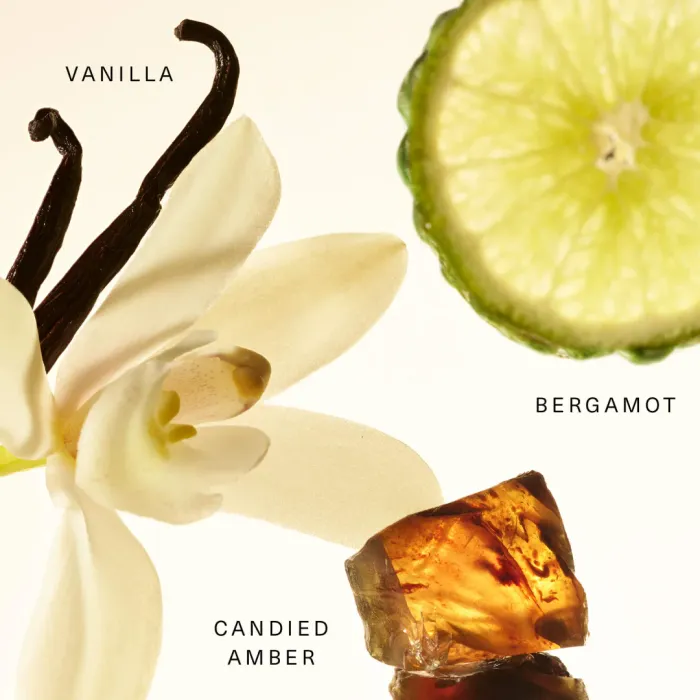 Amber Vanilla Fragrance Layering Balm