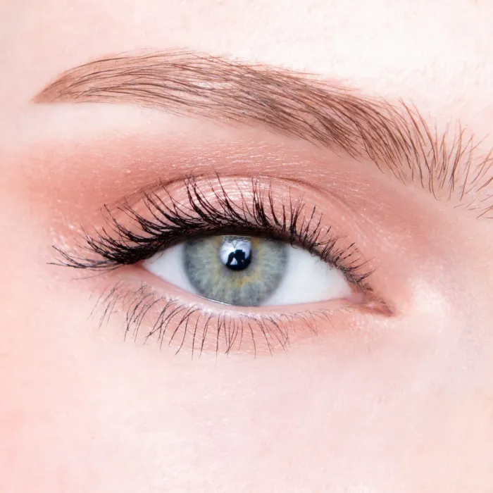 Elevate Eye Trio