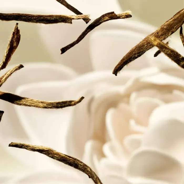 The Ritual of Karma Home Perfume