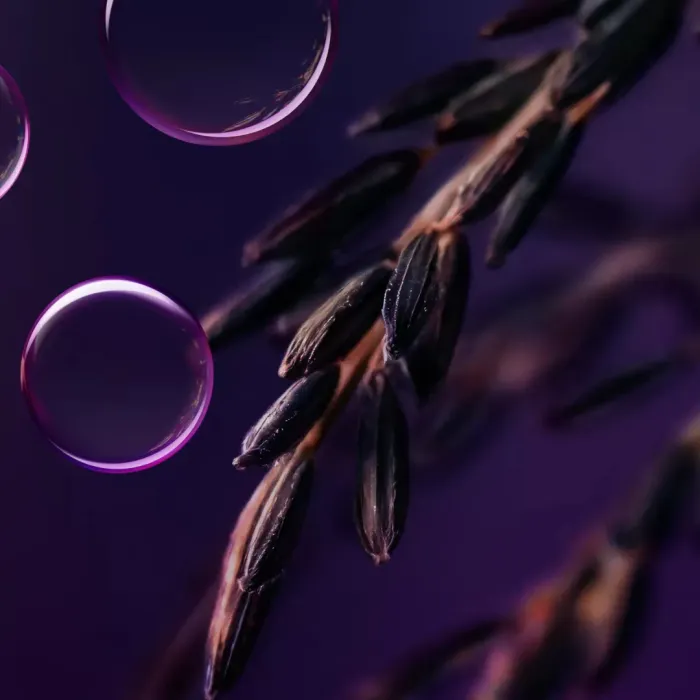 The Ritual of Yozakura Body Serum