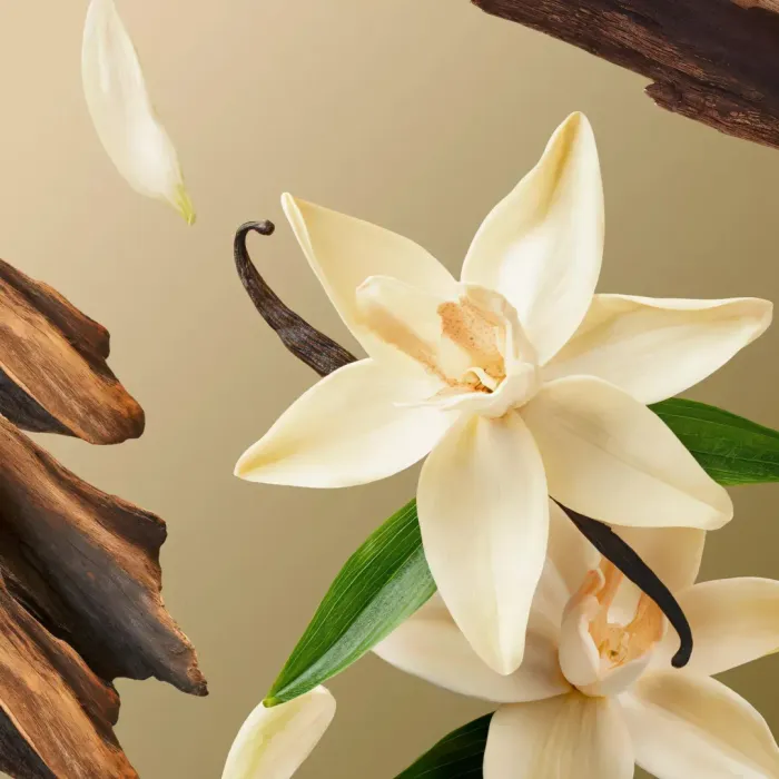Intuitia Fragrance Sticks