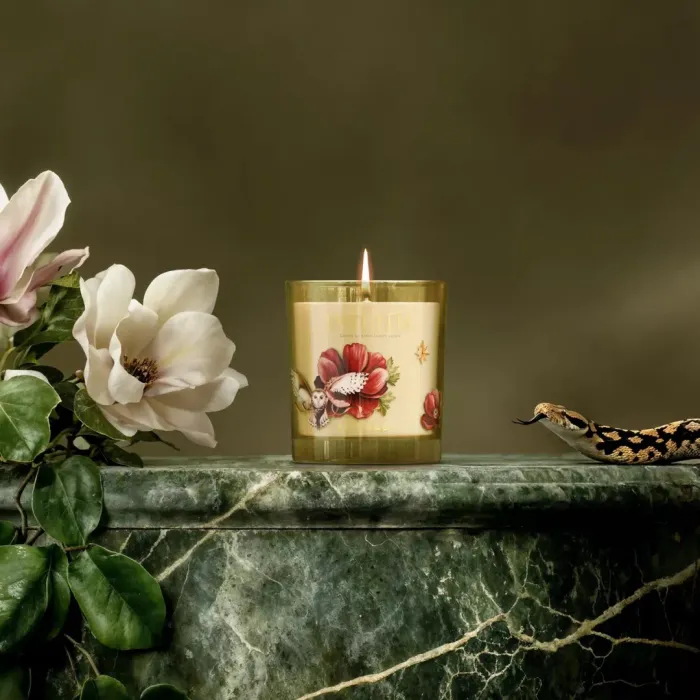 Intuitia Scented Candle