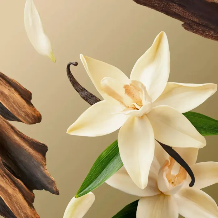 Intuitia Scented Candle