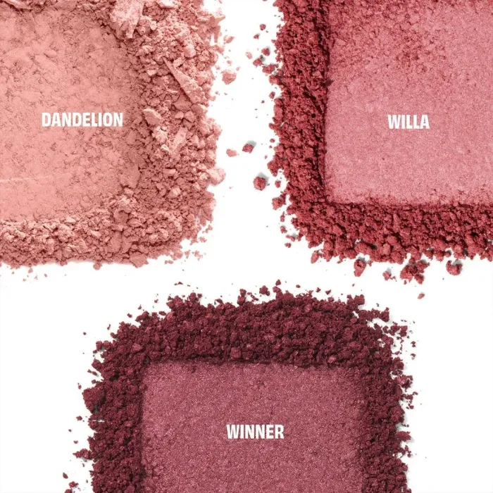 Cheek Score Blush Trio Palette