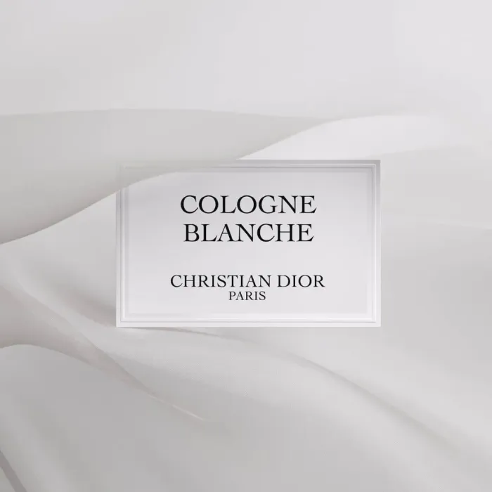 Cologne Blanche