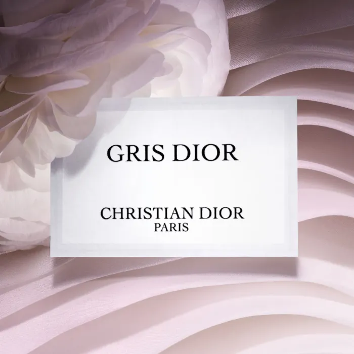 Gris Dior