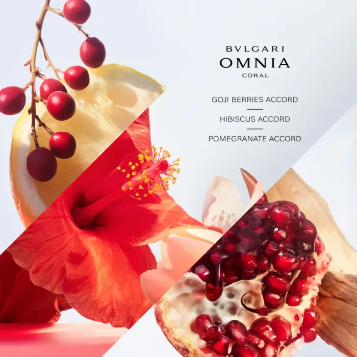 Omnia Coral