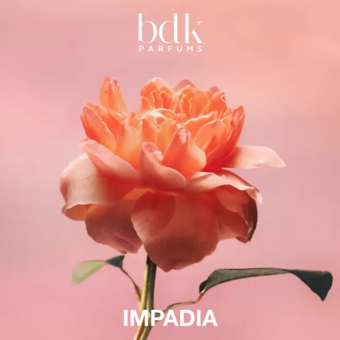 Impadia