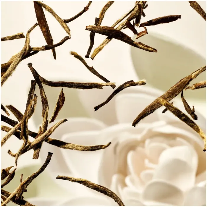 The Ritual of Karma Body Cream and Refill Pack