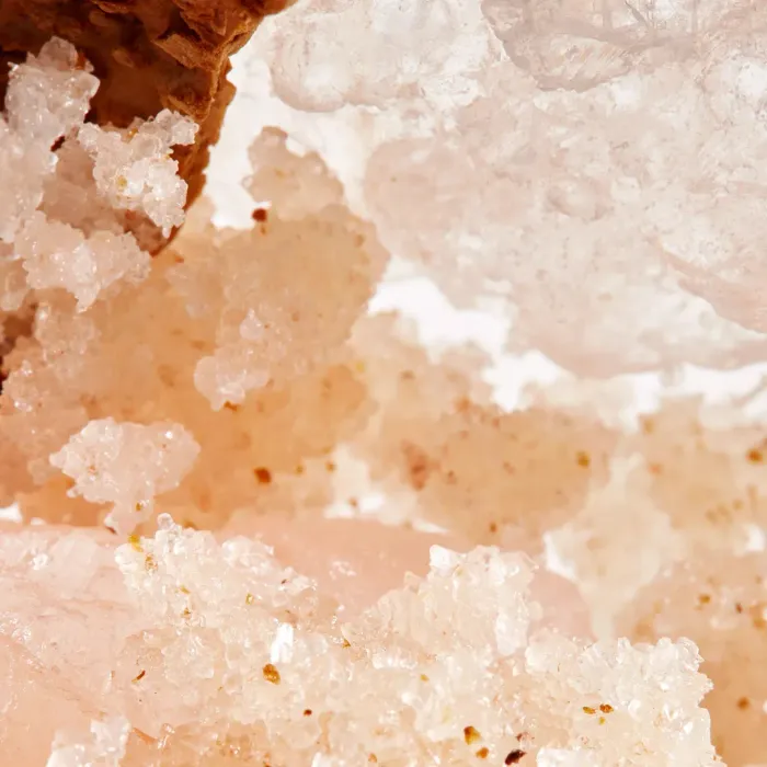 The Ritual of Ayurveda Body Scrub