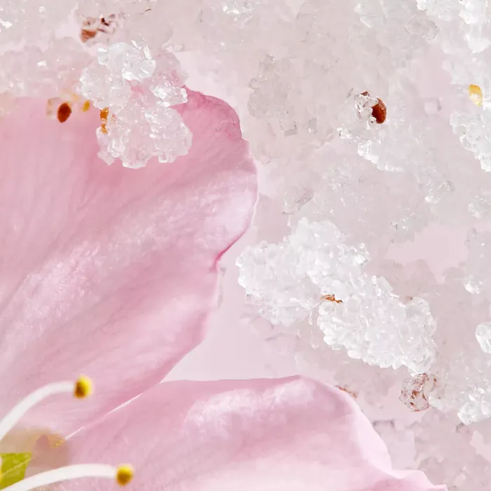 The Ritual of Sakura Sugar Body Polish