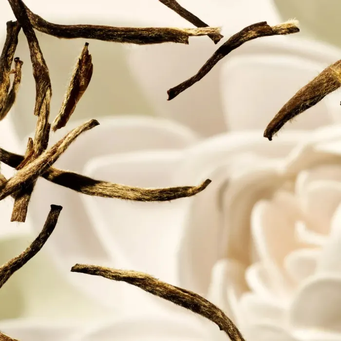 The Ritual of Karma Body Lotion