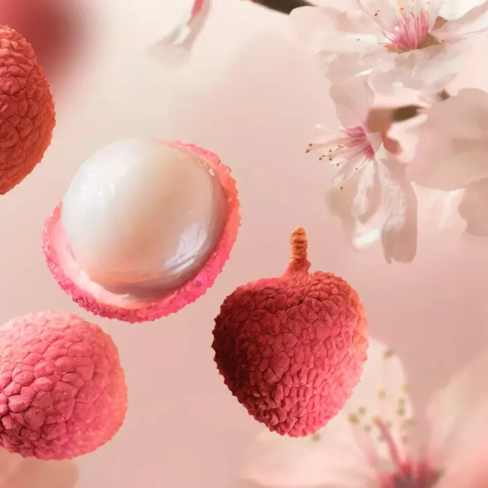 Rêve de Hanami