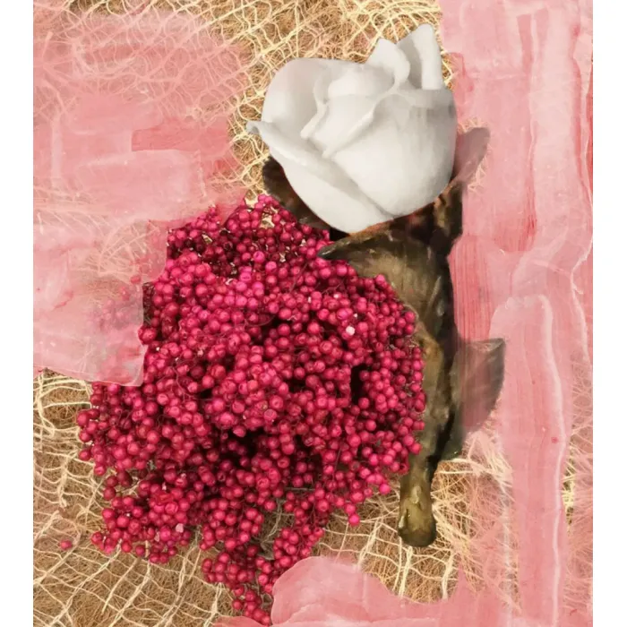 Rose Of No Man's Land