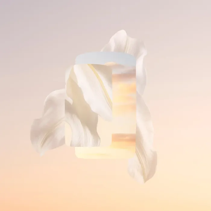 Baiser Volé