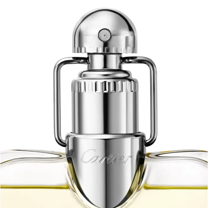 Declaration Eau de Toilette