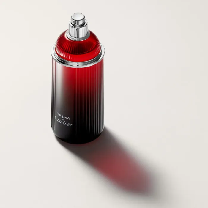 Pasha de Cartier Edition Noire Sport