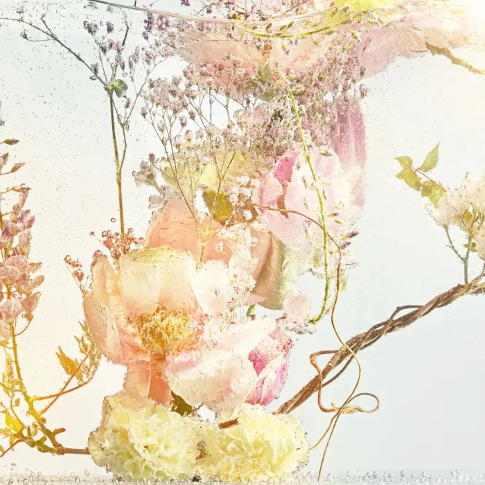 Insouciance