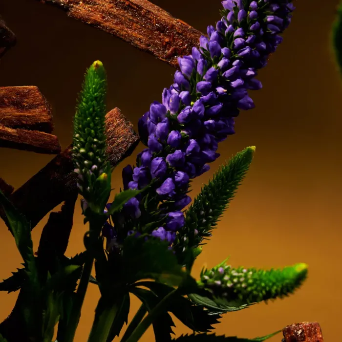 The Ritual of Oudh Hair & Body Mist