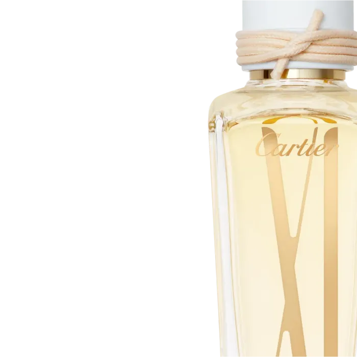 Les Heures de Cartier: L'Heure Perdue XI