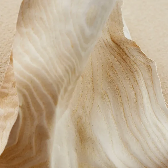 Santalum Perfumed Shower Gel