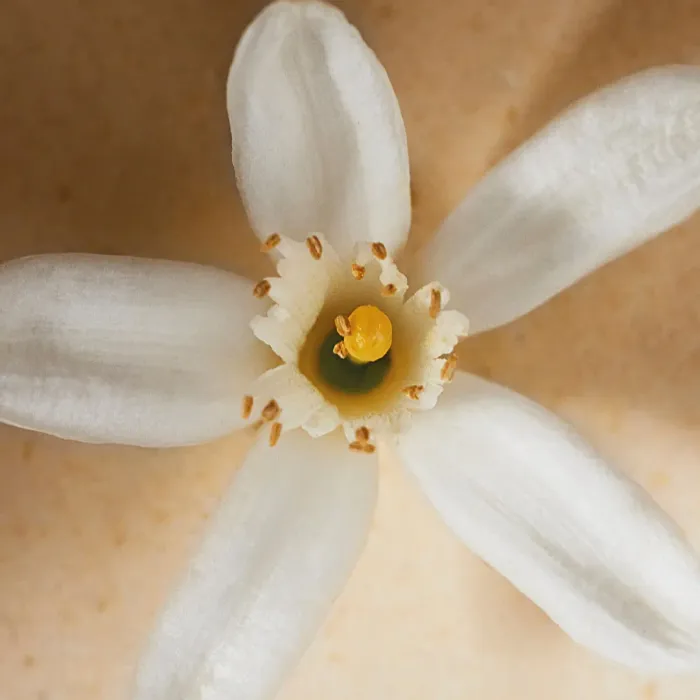 Neroli