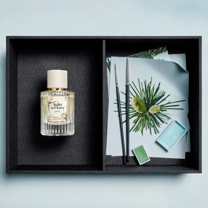 Cedrus Limited Edition