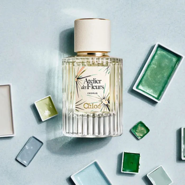 Cedrus Limited Edition