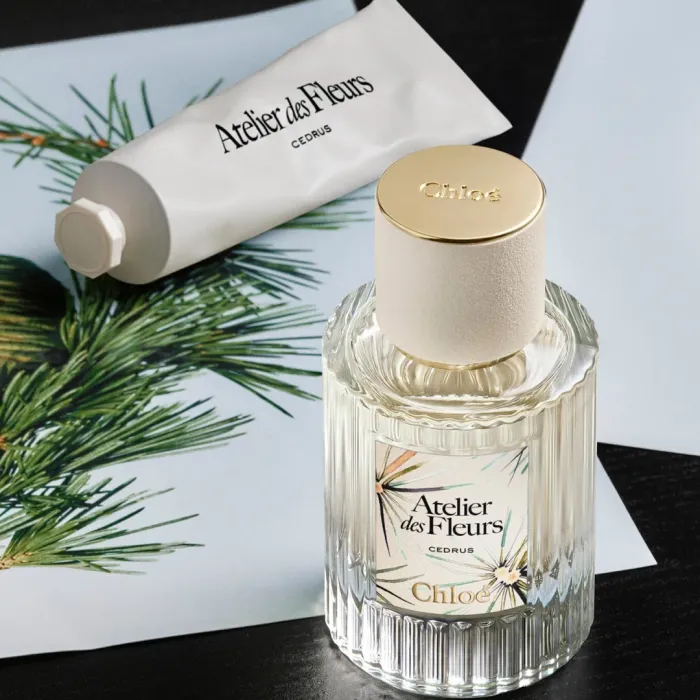 Cedrus Limited Edition