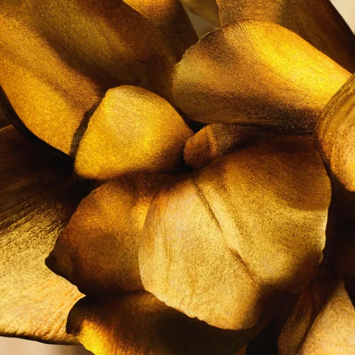 L'Or de J'adore