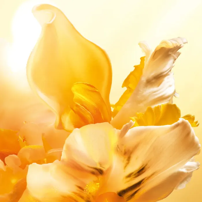 J'adore Eau de Parfum Roller-Pearl