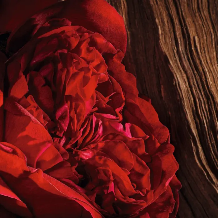 Oud Ispahan