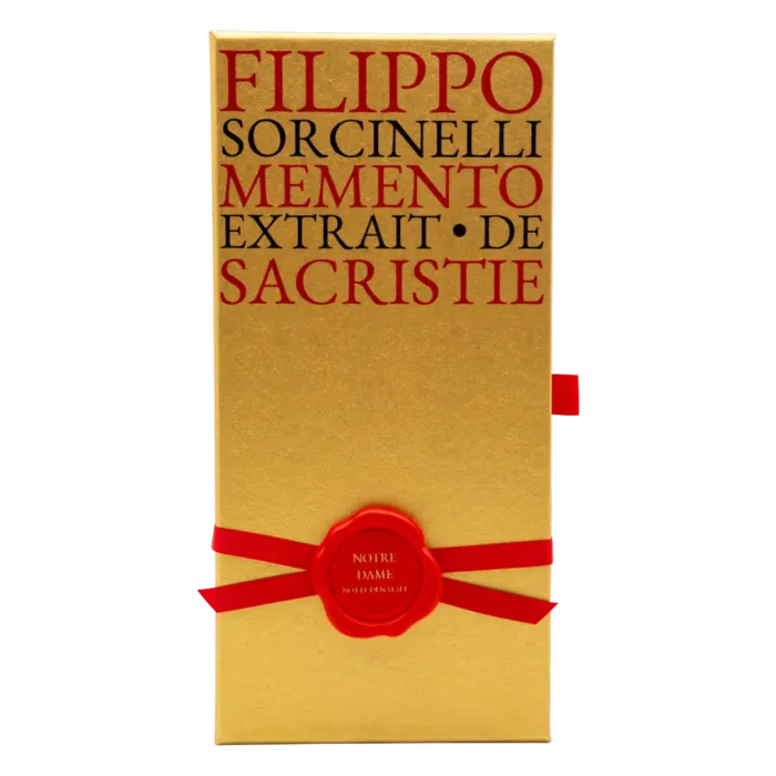 Notre Dame Notte di Natale